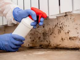 Best Asbestos and Lead Testing During Mold Inspection  in Cardington, OH